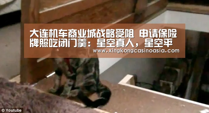 大连机车商业城战略受阻 申请保险牌照吃闭门羹:星空真人,星空平台,星空官网,星空官方(图2) 星空真人,星空平台,星空官网,星空官方
