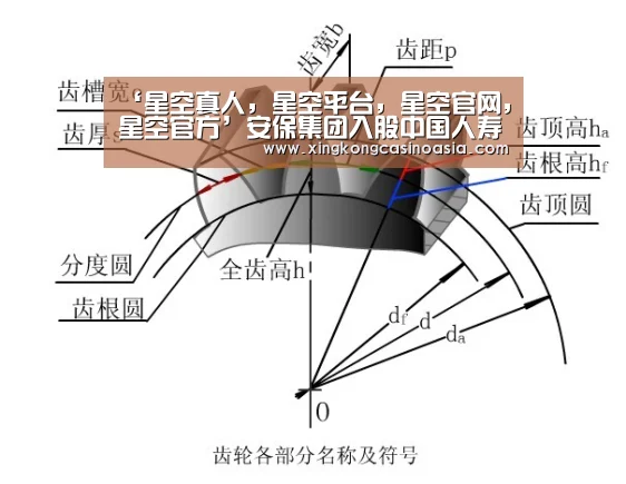 星空真人，星空平台，星空官网，星空官方