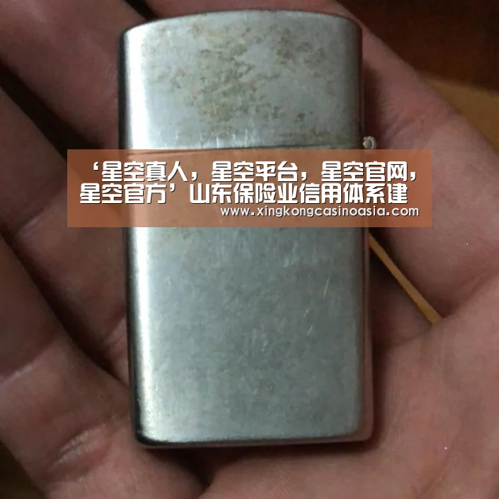 ‘星空真人,星空平台,星空官网,星空官方’山东保险业信用体系建设提速(图1) 星空真人,星空平台,星空官网,星空官方