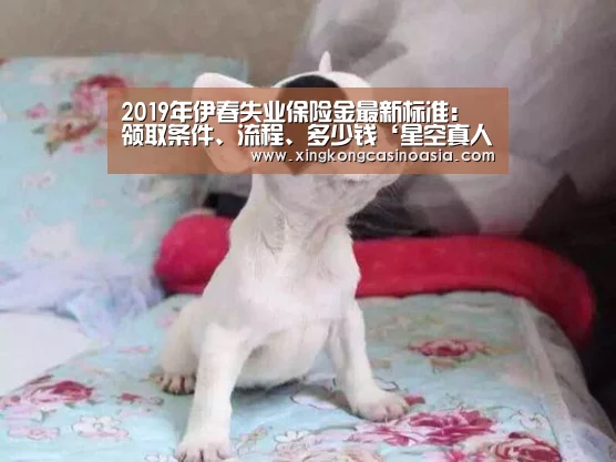 2019年伊春失业保险金最新标准:领取条件、流程、多少钱‘星空真人,星空平台,星空官网,星空官方’(图1) 星空真人,星空平台,星空官网,星空官方