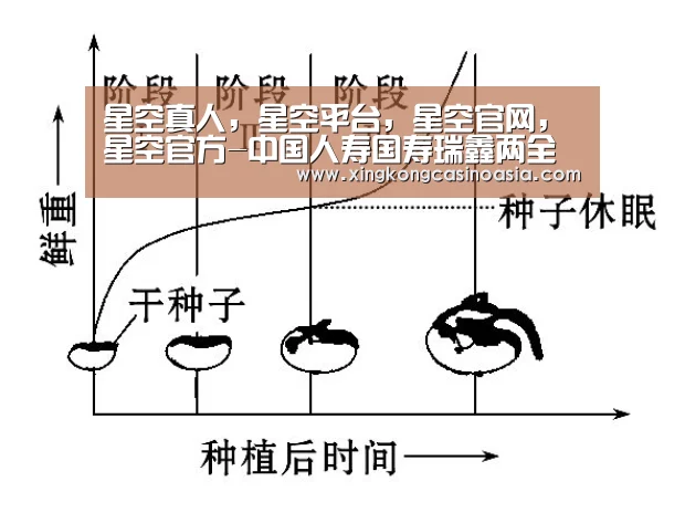星空真人,星空平台,星空官网,星空官方-中国人寿国寿瑞鑫两全保险如何国寿瑞鑫两全保险优缺点分析(图2) 星空真人,星空平台,星空官网,星空官方