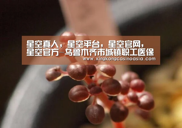 星空真人，星空平台，星空官网，星空官方
