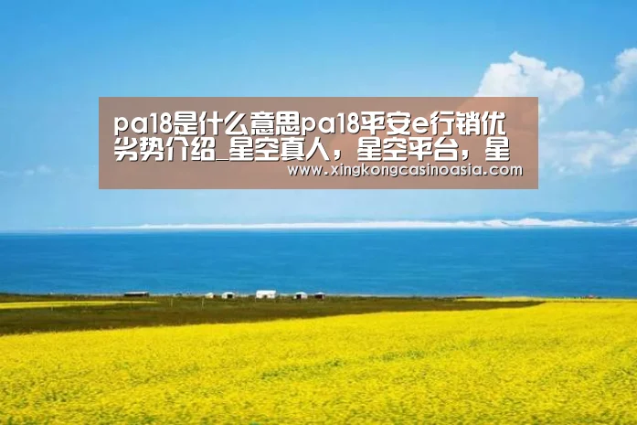 pa18是什么意思pa18平安e行销优劣势介绍_星空真人,星空平台,星空官网,星空官方(图2) 星空真人,星空平台,星空官网,星空官方
